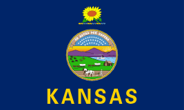 Kansas state tax extension guide