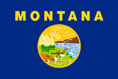 Montana State Tax Extension Guide 2026 Montana state tax extension guide
