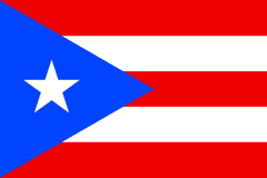 Puerto Rico state tax extension guide